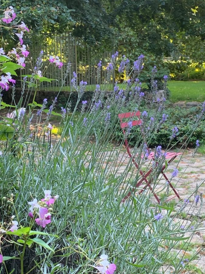 Moulin De Champrond -Montmirail -Sarthe Bed & Breakfast ภายนอก รูปภาพ