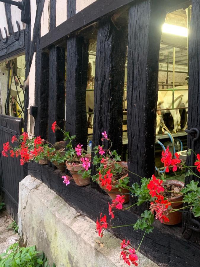 Moulin De Champrond -Montmirail -Sarthe Bed & Breakfast ภายนอก รูปภาพ